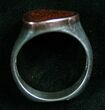 Agatized Dinosaur Bone Ring - Silver & Rose Gold #7889-4